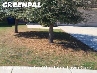 Yard Cutting nearby New Braunfels, TX, 