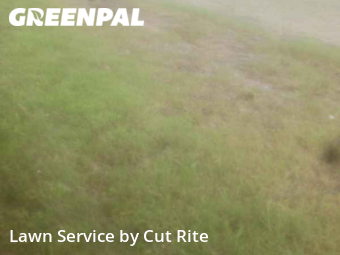 Grass Cutting nearby Forrest City, AR, 