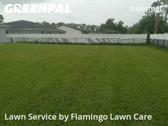 Yard Cutting nearby Port Charlotte, FL, 