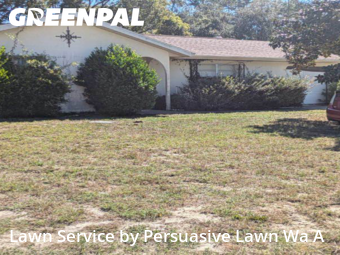 Yard Mowing nearby Spring Hill, FL, 