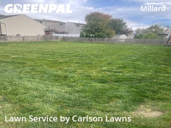Lawn Maintenance nearby Omaha, NE, 