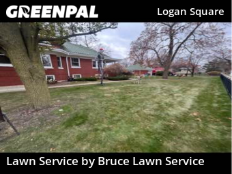 Lawn Mow nearby Chicago, IL, 