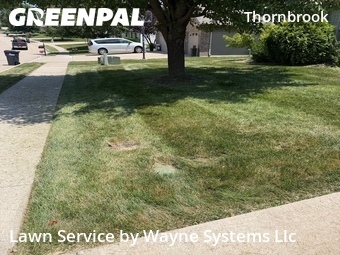 Landscaping Maintenance In Columbia,65203,Landscaping Services by Wayne Systems Llc, work completed in Jul , 2026