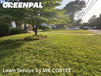 Grass Cutting nearby Silver Spring, MD, 