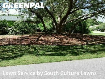 Grass Cut nearby Cocoa, FL, 