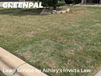 Yard Mowing nearby Temple, TX, 