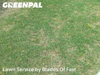 Work completed by grass-trimming-service-in-Union City-CA