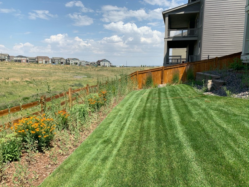 Lawn Care Service in Castle Rock, CO, 80109