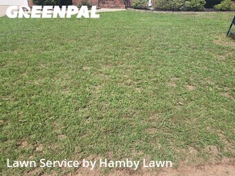Grass Cut nearby Simpsonville, SC, 