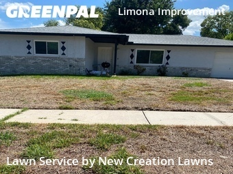 Lawn mowed in Brandon, 33510