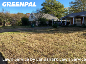 Grass Cut nearby Southaven, MS, 