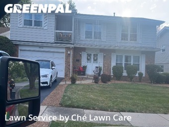 Lawn Mow nearby Homewood, IL, 