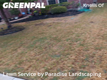 Lawn Mowing Service nearby Frisco, TX, 