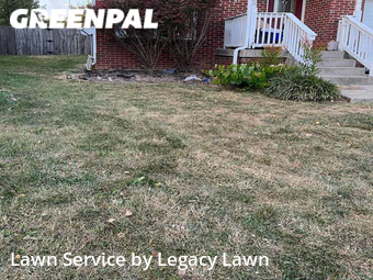 Lawn Cut nearby Shelbyville, KY, 