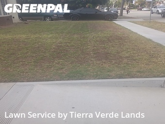 Lawn Care nearby Huntington Park, CA, 