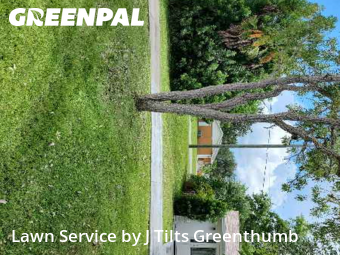 Lawn Cut nearby Port Charlotte, FL, 