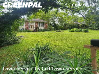 Lawn Mowing Service nearby Knoxville, NC, 