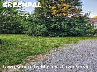 Grass Cut nearby Clarksville, TN, 