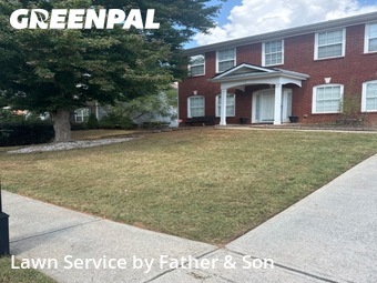 Lawn Maintenance nearby Dacula, GA, 