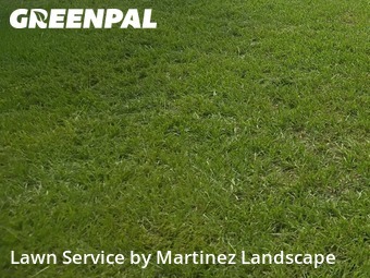 Lawn Care Service nearby Sorrento, FL, 
