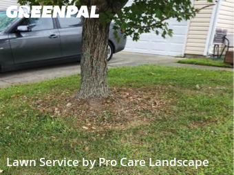 Lawn Service nearby Concord, NC, 