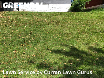 Lawn Cut nearby St. Louis, IL, 