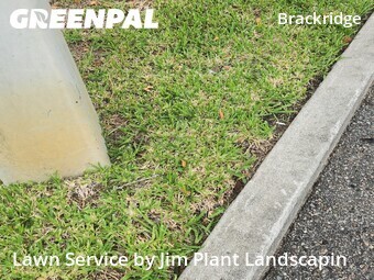 Lawn Mowing Service nearby Jacksonville, FL, 