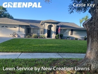 Lawn Care Service nearby Valrico, FL, 