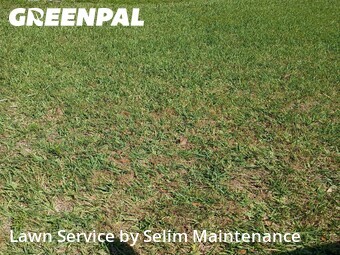 Lawn Maintenance nearby St. Augustine, FL, 