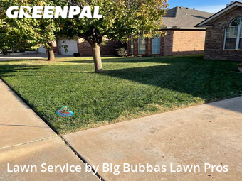 Yard Cutting nearby Lubbock, TX, 