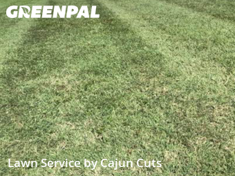 Lawn Mowing nearby Murfreesboro, TN, 