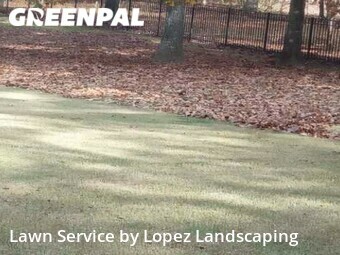 Lawn Care nearby Trenton, GA, 
