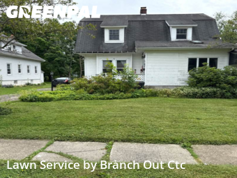 Lawn Cutting nearby Hamburg, NY, 