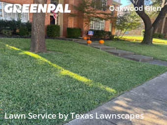 Lawn Cutin Plano,75025,Lawn Care Service by Texas Lawnscapes, work completed in Dec , 2025