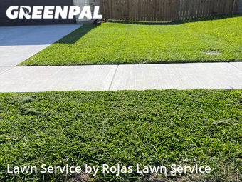 Lawn Cutting nearby Harlingen, TX, 