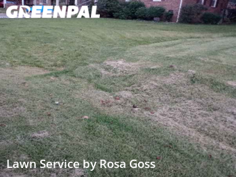 Lawn Mow nearby Easley, SC, 