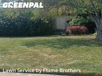 Grass Cutting nearby Roseville, MI, 