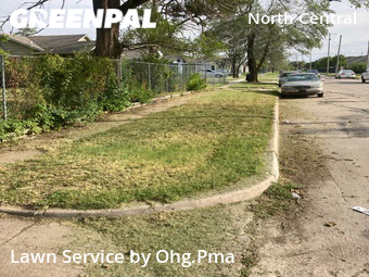 Grass Cut nearby Wichita, KS, 