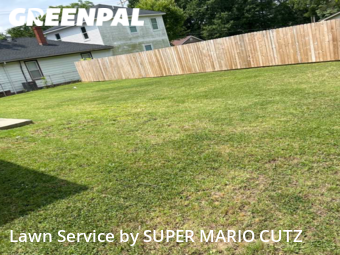 Grass Cutting nearby Kannapolis, NC, 