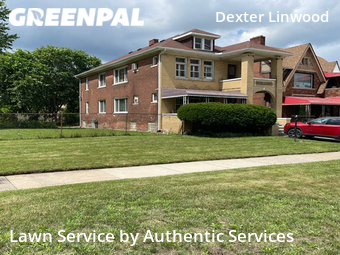 Yard Mowing nearby Detroit, MI, 