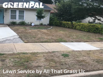 Yard Cutting nearby Virginia Beach, VA, 