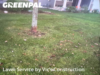 Lawn Cutting nearby Plainfield, IL, 