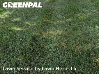 Grass Cutting nearby Summerfield, NC, 