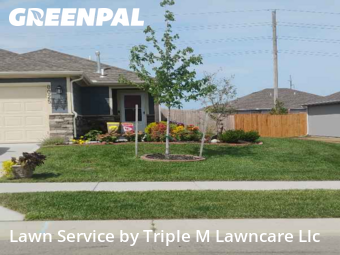 Lawn Cuttingin Blue Springs,64014,Lawn Care Service by Triple M Lawncare Llc, work completed in Nov , 2025