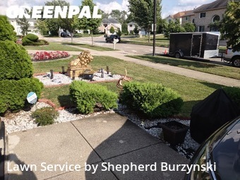 Grass Cut nearby Westmont, IL, 