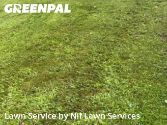 Yard Cuttingin Gastonia,28052,Lawn Mowing by Nif Lawn Services, work completed in Dec , 2025