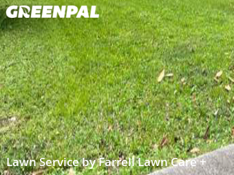 Grass Cut nearby Austell, GA, 