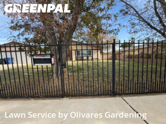 Landscaping Services In Lancaster,93535,Landscaping Cleanup by Olivares Gardening , work completed in Nov , 2025
