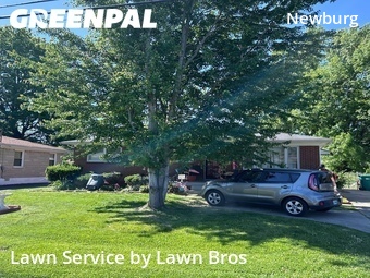 Lawn Cut nearby Louisville, KY, 