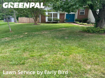 Grass Cut nearby Mint Hill, NC, 